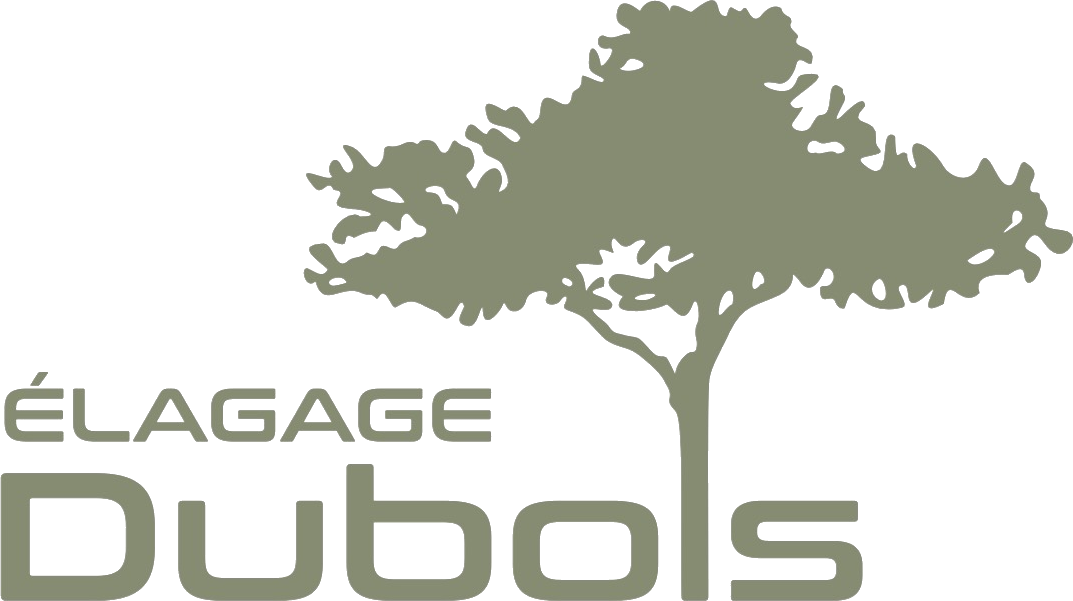 Élagage Dubois
